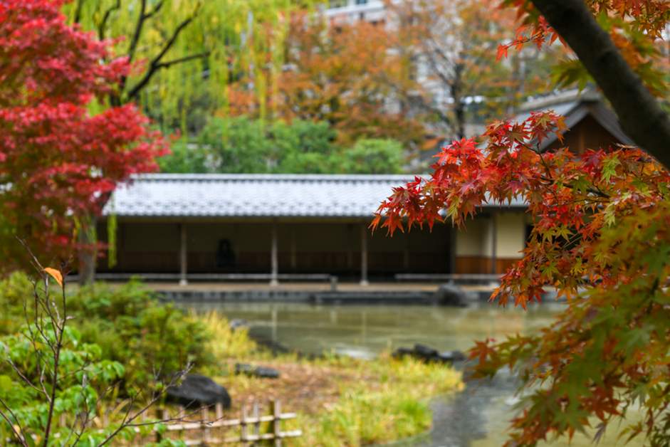 There are many other recommended spots in addition to Jingu